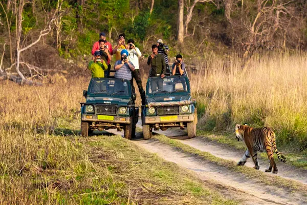 Delhi to Jim Corbett Tempo Traveller